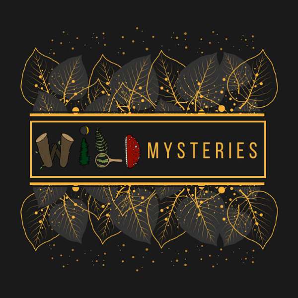 WILD Mysteries Podcast Artwork Image