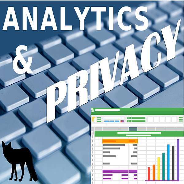 Analytics and Privacy Podcast Podcast Artwork Image