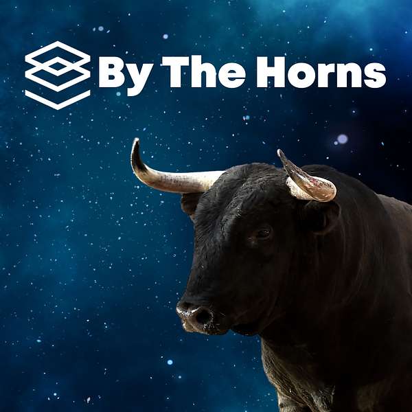 By The Horns: A Bitcoin podcast about South Africa Podcast Artwork Image