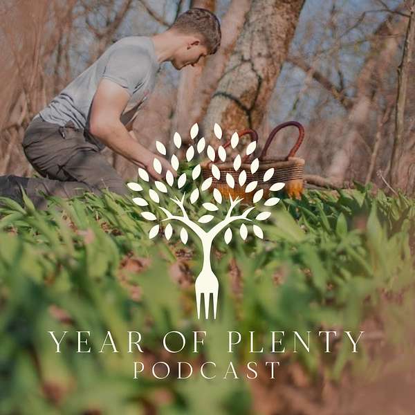 Year of Plenty Podcast Podcast Artwork Image
