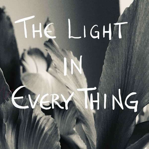 The Light in Every Thing Podcast Artwork Image