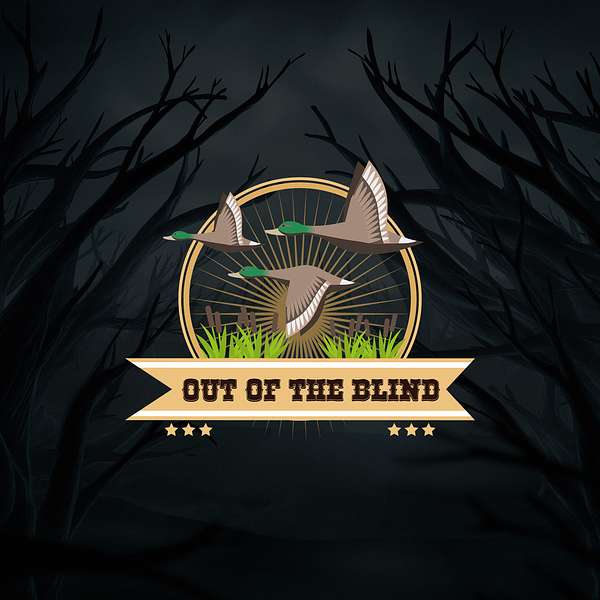 Out Of The Blind Podcast Artwork Image