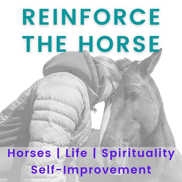 Reinforce the Horse Podcast Artwork Image