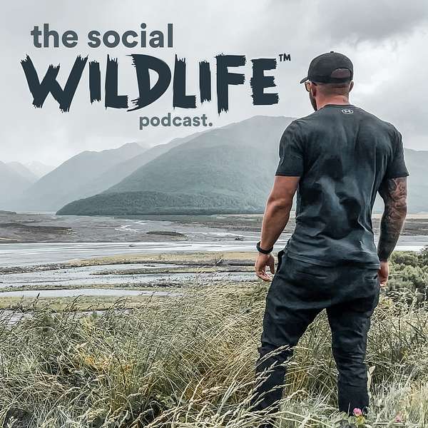 The Social Wildlife Podcast Artwork Image