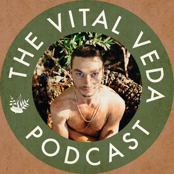 The Vital Veda Podcast: Ayurveda | Holistic Health | Cosmic and Natural Law Podcast Artwork Image