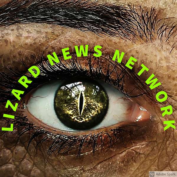 Lizard News Network Podcast Artwork Image