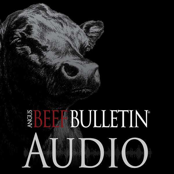 Angus Beef Bulletin Audio Podcast Artwork Image