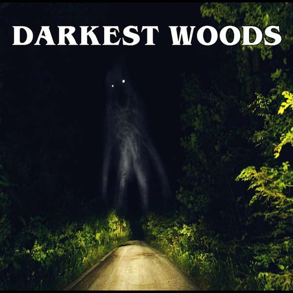 Darkest Woods Podcast Artwork Image