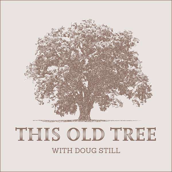 This Old Tree Podcast Artwork Image