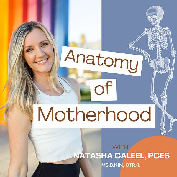 Anatomy of Motherhood Podcast Artwork Image