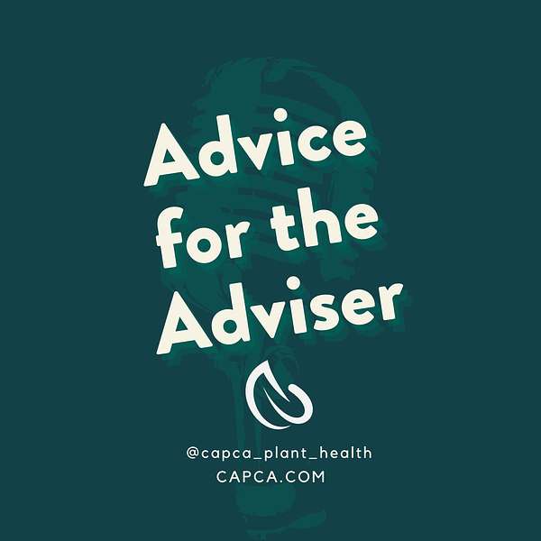 Advice for the Adviser Podcast Artwork Image
