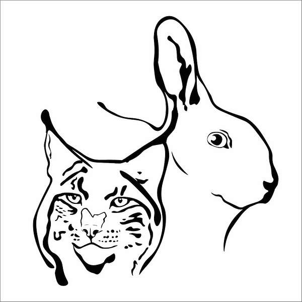 Herbivorize Predators  Podcast Artwork Image
