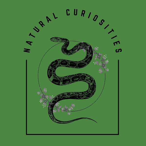 Natural Curiosities Podcast Artwork Image
