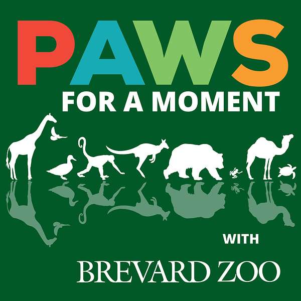 Paws for a Moment Podcast Artwork Image