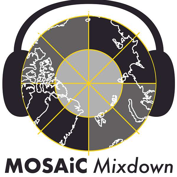 MOSAiC Mixdown: mini-podcasts from the Arctic Podcast Artwork Image