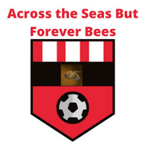 Across the Seas but Forever Bees - An American Brentford Podcast Podcast Artwork Image
