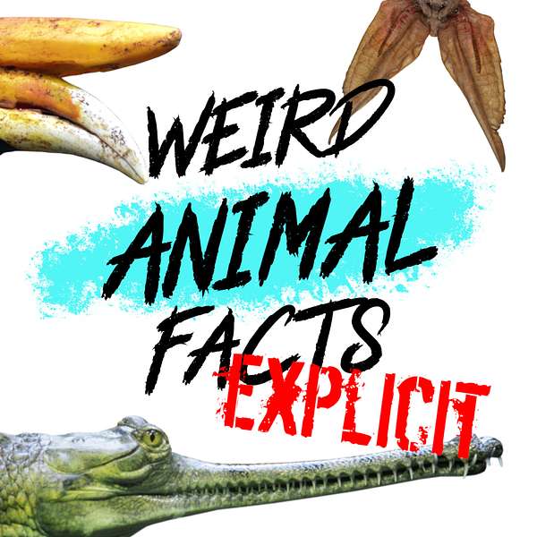 Weird Animal Facts: Explicit Podcast Artwork Image