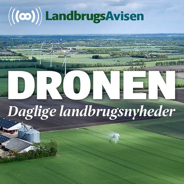 Dronen – landbrugsnyheder alle hverdage fra LandbrugsAvisen Podcast Artwork Image