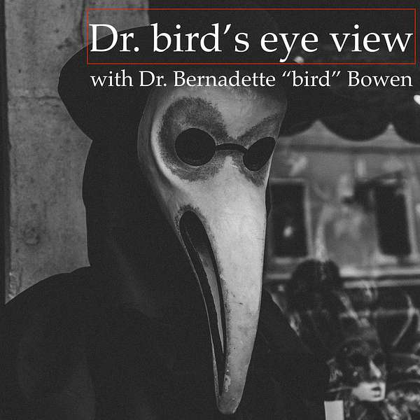Dr. bird's eye view Podcast Artwork Image