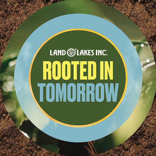 Rooted In Tomorrow Podcast Artwork Image