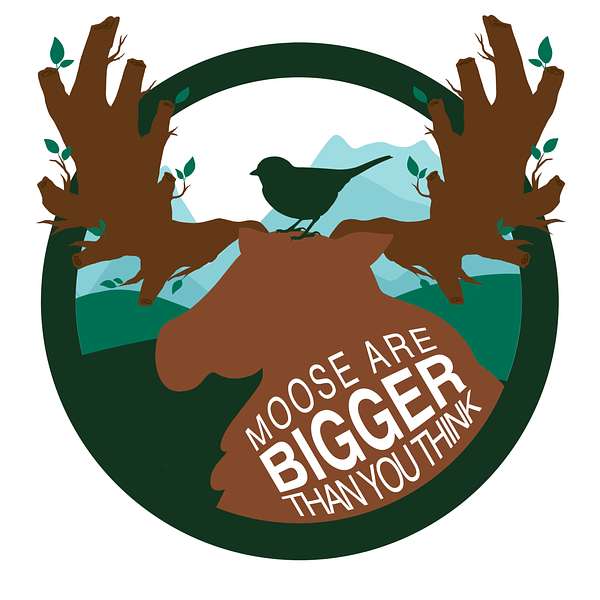 Moose Are Bigger Than You Think Podcast Artwork Image