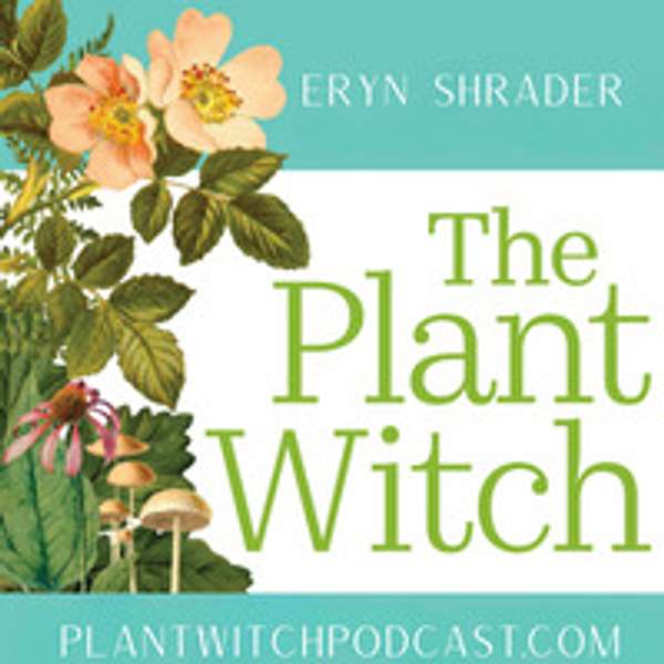 Plant Witch Podcast Artwork Image