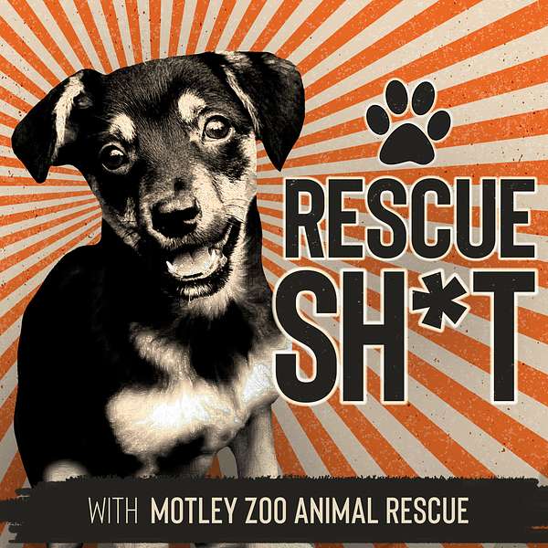 Rescue Shit Podcast Artwork Image