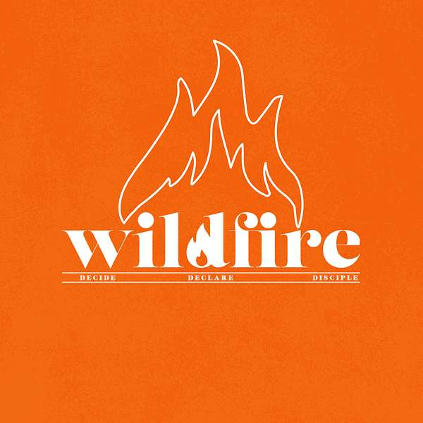Wildfire podcast Podcast Artwork Image