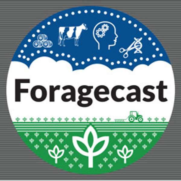 Foragecast Podcast Artwork Image