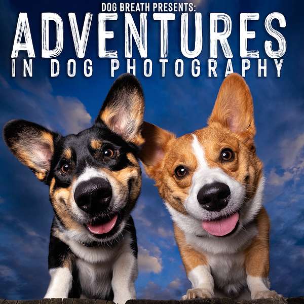 Adventures in Dog Photography Podcast Artwork Image
