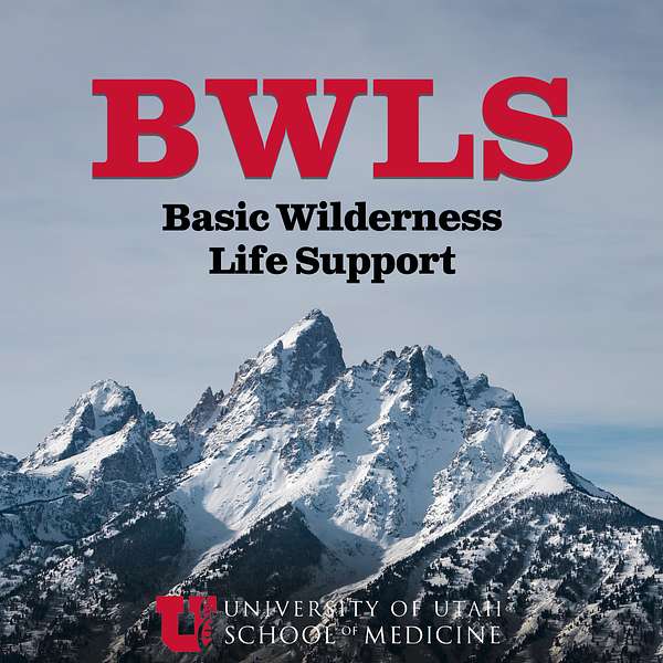 BWLS - Basic Wilderness Life Support Podcast Artwork Image