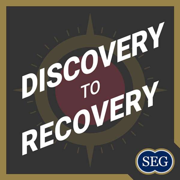Discovery to Recovery Podcast Artwork Image