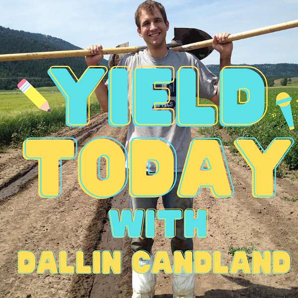 YIELD Today With Dallin Candland Podcast Artwork Image
