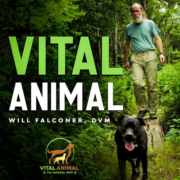 Vital Animal Podcast Podcast Artwork Image