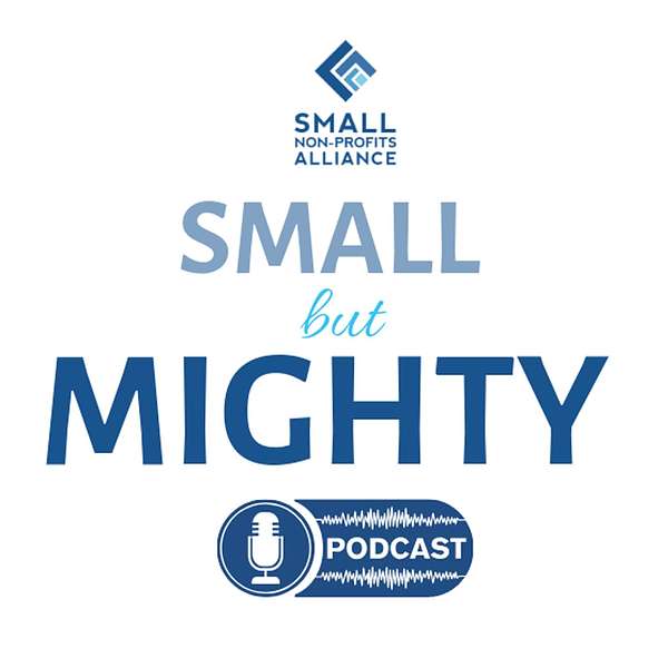 Small But Mighty Podcast for Non-Profits Podcast Artwork Image
