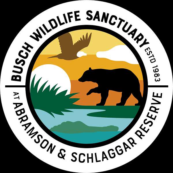 Inside Busch Wildlife Sanctuary Podcast Artwork Image