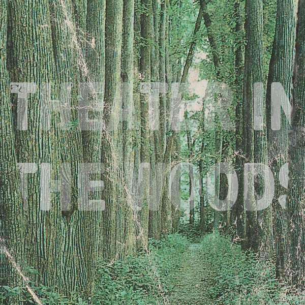 Theater in the Woods Podcast Artwork Image