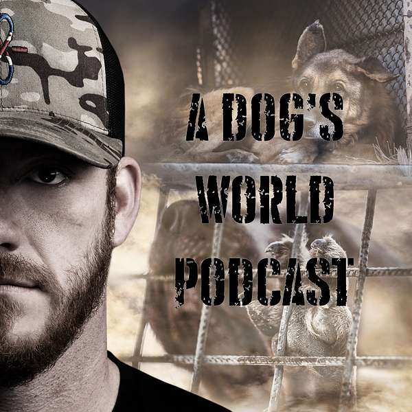 A Dog's World - Breaking The Chains Podcast Artwork Image