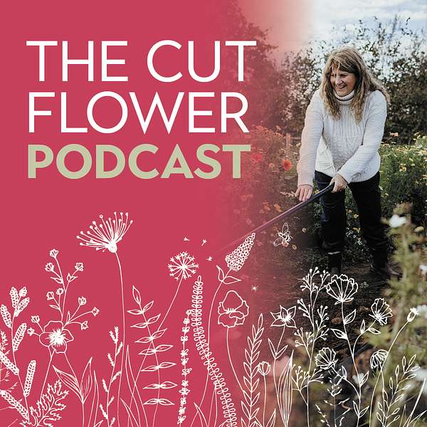 Cut Flower Farming - Growth and Profit in Your Business is renamed The Cut Flower Podcast Podcast Artwork Image