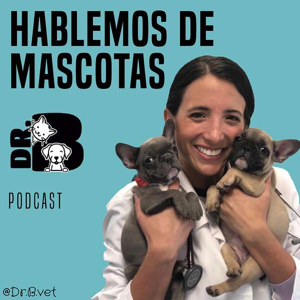 Hablemos de Mascotas con Dr.B Vet  Podcast Artwork Image