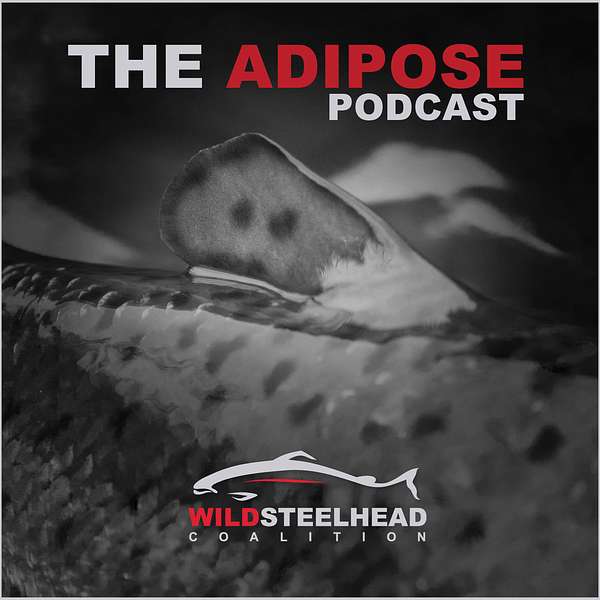 The Adipose  Podcast Artwork Image