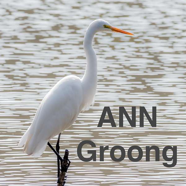 Armenian News Network - Groong: Week In Review Podcast Podcast Artwork Image