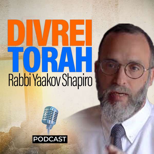Divrei Torah Podcast Artwork Image