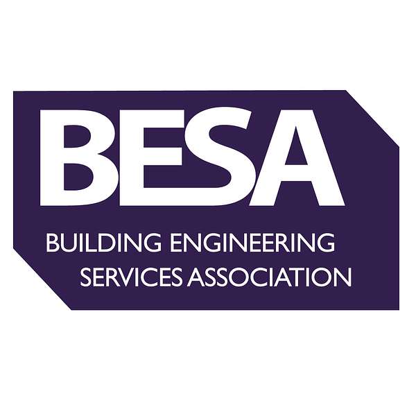 The BESA Podcast Podcast Artwork Image