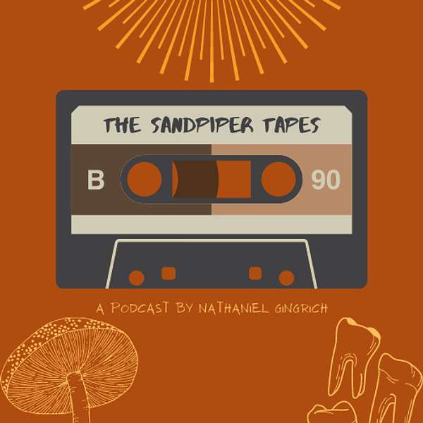 The Sandpiper Tapes Podcast Artwork Image