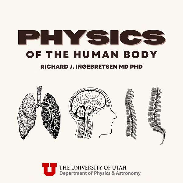 Physics of the Human Body  Podcast Artwork Image