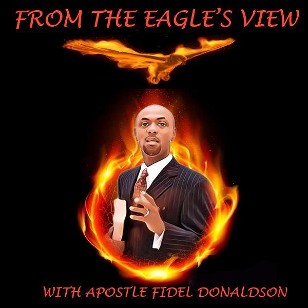 From The Eagle's View Podcast Podcast Artwork Image