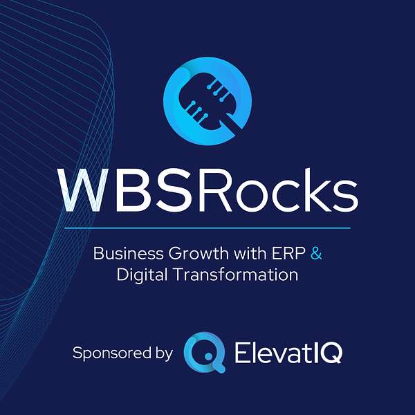 WBSRocks: Business Growth with ERP and Digital Transformation Podcast Artwork Image
