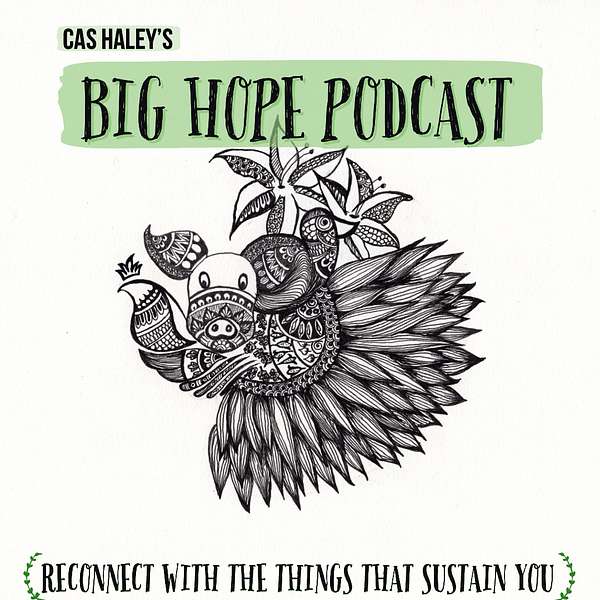 Cas Haley's Big Hope Podcast  Podcast Artwork Image