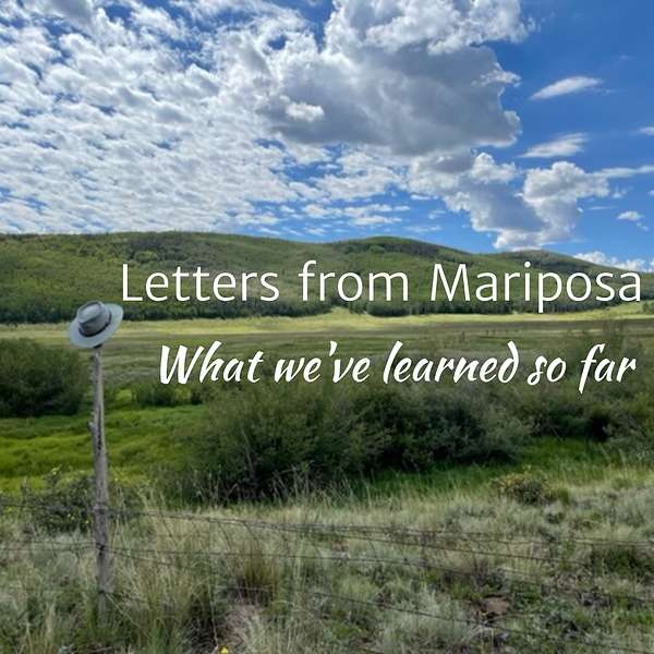 Letters From Mariposa: What we've learned so far Podcast Artwork Image